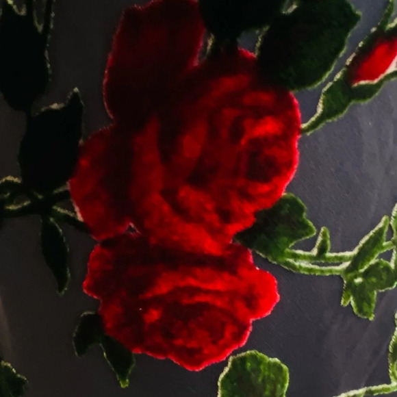 Vintage 90’s Betsey Johnson NY Dress Black Red Rose Mesh Velvet Burnout Sz L - Picture 5 of 13